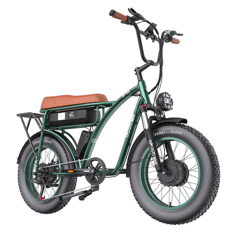 Fat Tire Electric Retro Bike-Green